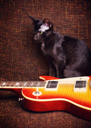 Similar image 10925250