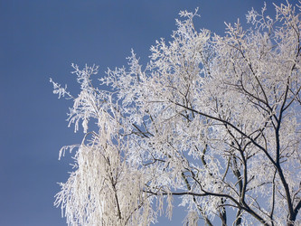 Similar image 10925258