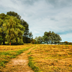 Similar image 10925272