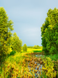 Similar image 10925281