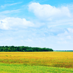 Similar image 10925282