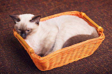 Similar image 10925291