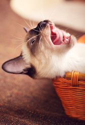 Similar image 10925292