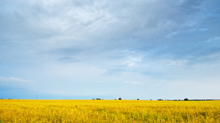 Similar image 10925300