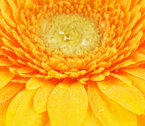 Similar image 10925301