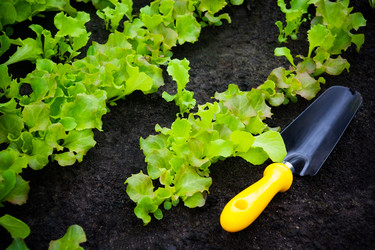 Similar image 10925052