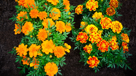 Similar image 10925053