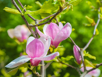 Similar image 10925141