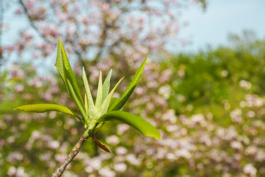 Similar image 10925146