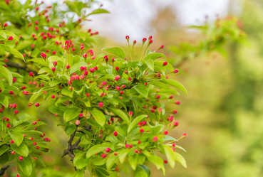 Similar image 10925151