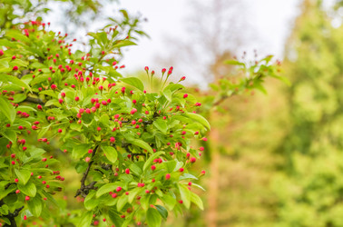 Similar image 10925152