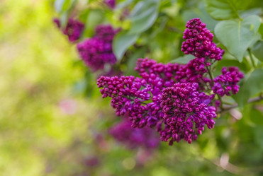 Similar image 10925153