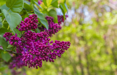 Similar image 10925154