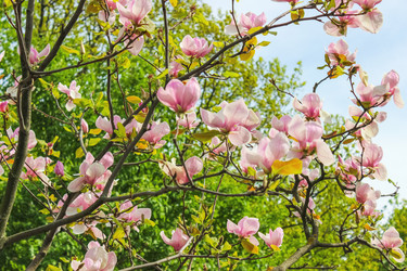 Similar image 10925161