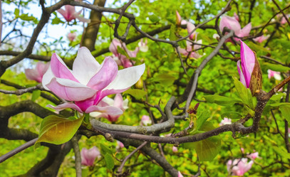 Similar image 10925162