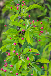 Similar image 10925169