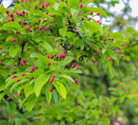 Similar image 10925170