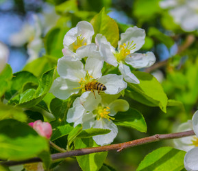 Similar image 10925171