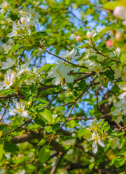 Similar image 10925172