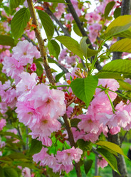 Similar image 10925176