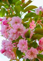 Similar image 10925177