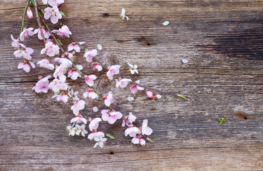 Similar image 10931050