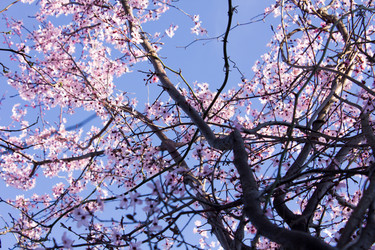 Similar image 10926231