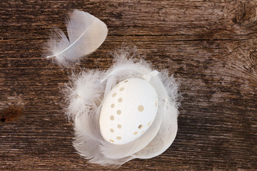 Similar image 10931061