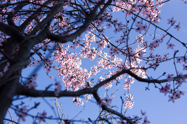 Similar image 10926151