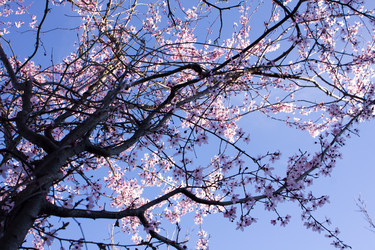 Similar image 10926232