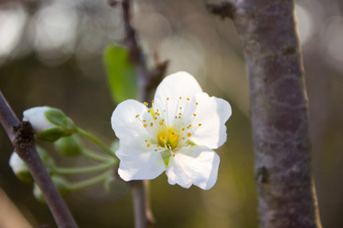 Similar image 10926233