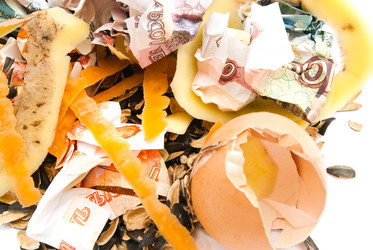 Similar image 10926186