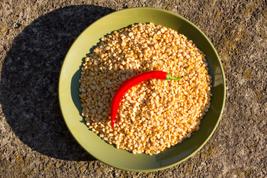 Similar image 10926273