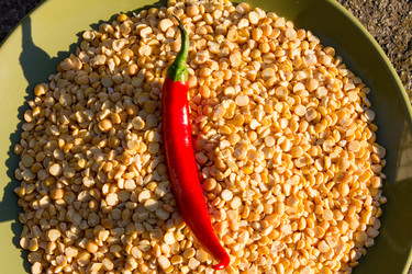 Similar image 10926275