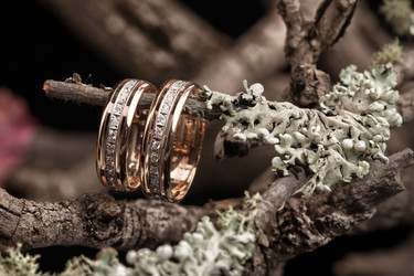 Similar image 10925835