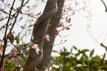 Similar image 10926247