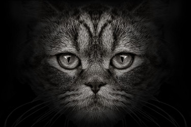 Similar image 10929238