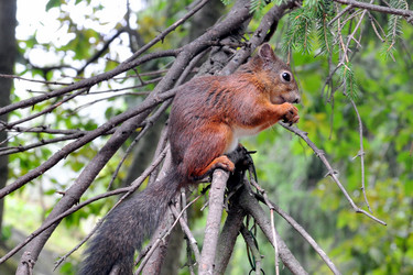 Similar image 10928209