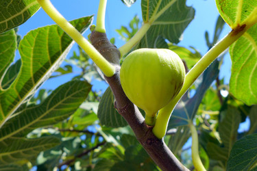 Similar image 10928216