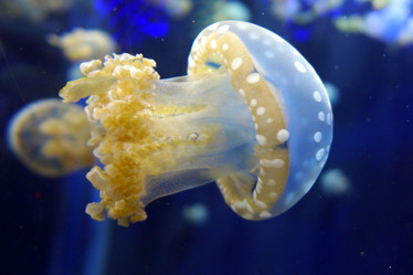 Similar image 10928218