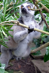 Similar image 10928187