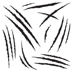 Similar image 10932160