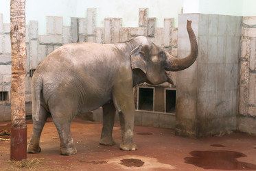 Similar image 10928539