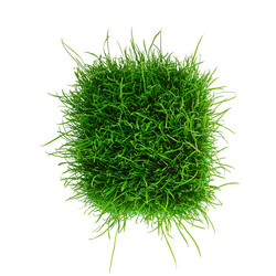 Similar image 10939946