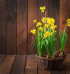 Similar image 10940056