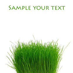 Similar image 10940141