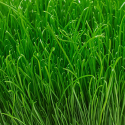 Similar image 10940147