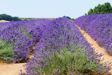 Similar image 10931089