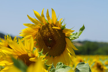 Similar image 10931102