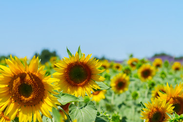 Similar image 10931103